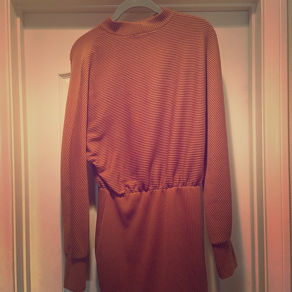 Tan Sweater dress bought by Nordstrom rack